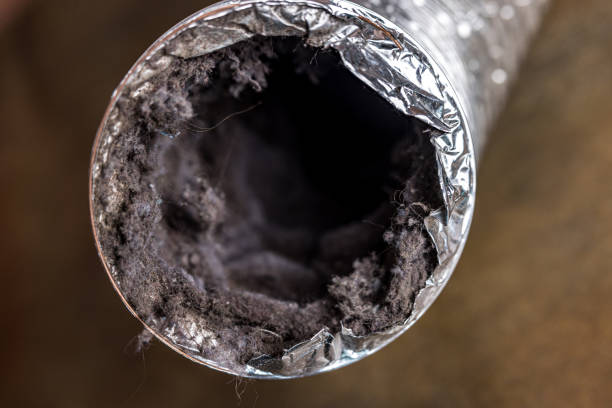 Best Home Air Vent Cleaning  in Colmar Manor, MD